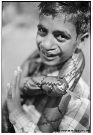 Fotoalbum Friends of Padhar e.V.